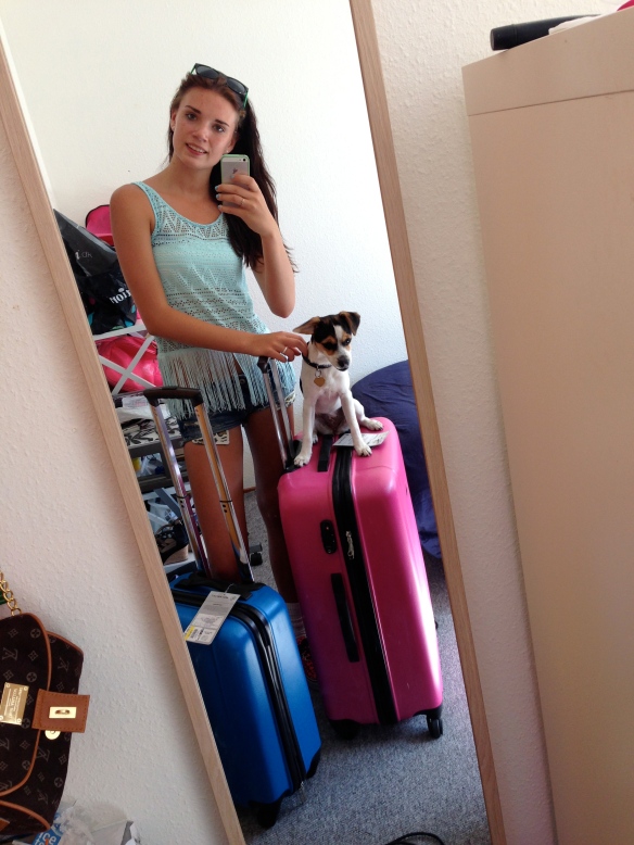 Mine kufferter, hundi vil gerne med! :)